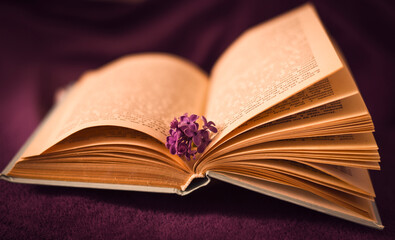 open old book  vintage,  literature reed  cover, object, knowledge, bible, books, learning, school, vintage, information