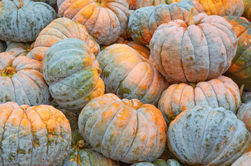 Colorful pumpkins