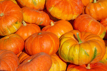 Colorful pumpkins
