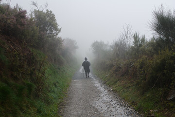 Obraz premium Camino de Santiago The Pilgrimage Routes to Santiago de Compostela