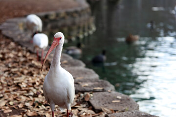 What are you looking for?