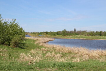 Spring By The Lake, Pylypow Wetlands, Edmonton, Alberta