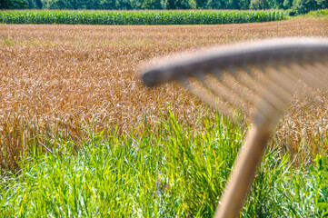 Rechen vor Getreidefeld in Anif im Sommer