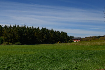 Camino de Santiago
The Pilgrimage Routes to Santiago de Compostela