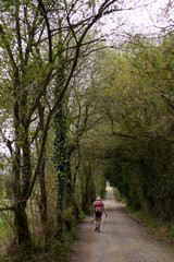 Camino de Santiago
The Pilgrimage Routes to Santiago de Compostela