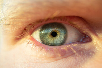 Green-blue eye in profile, macro photo. The concept of ophthalmology, pigmentation of the iris. Macro photo. Male eye.