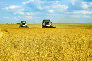 Harvesting of grain crops by combines