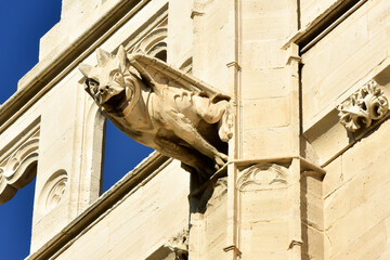 Gargoyle at La Lonja monument in Palma de Mallorca, Spain © Oleg