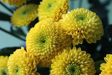 Bouquet of small yellow chrysanthemums