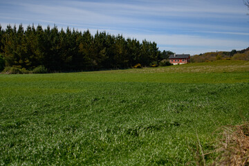 Camino de Santiago
The Pilgrimage Routes to Santiago de Compostela