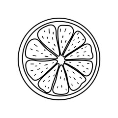 Black-white citrus icon. Vector illustration. Isolated element on the white background. Simple hand-drawn. For minimal creative design. For logos, packages, covers, prints, menus, textiles, stickers.