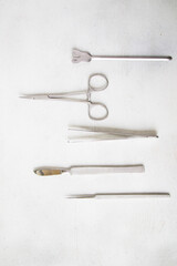 Dissection Kit - Premium Quality Stainless Steel Tools for Medical Students of Anatomy, Biology, Veterinary, Marine Biology