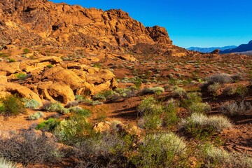 red rocks and blue sky