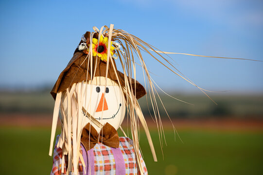 Fun happy children's scarecrow in a farmers field - Powered by Adobe