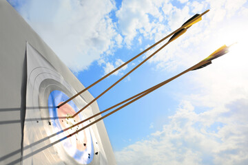 Target for archery with arrows outdoors