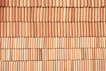 Dübel in verschiedenen Größen