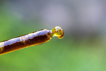 cannabis oil extreme close up shot outdoors in nature 
