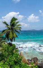 Beautiful palm tree on tropical beach, La Digue, Seychelles. Summer vacation and travel concept. Portrait format