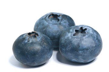blueberry berries dark blue 3 pieces on a white background