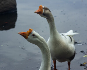 Fotos tiradas em Ilha do Frade- Vitória ES