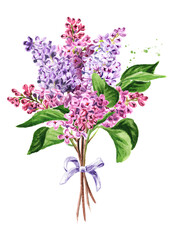 Bouquet of lilac flowers. Hand drawn watercolor illustration isolated on white background