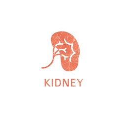 Kidney Care Logo Design Inspiration. Suitable for medical websites, hospitals and kidney care specialist
