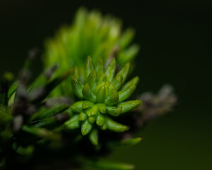 Fotos tiradas em Ilha do Frade- Vitória ES