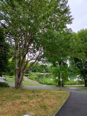 road in the park