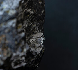 coal on black background