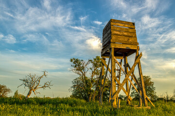 ein Hochsitz in der Abendsonne