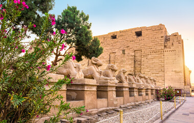 Sphinxes and flowers