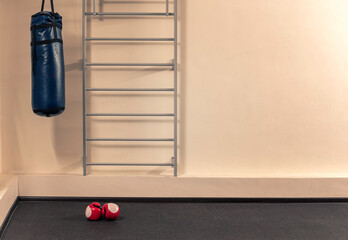 boxing gloves and punching bag hanging in the gym