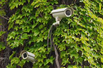 Two cameras CCTV on the facade of building with green leaves on street, security in the city. Covert shooting of what is happening. Modern technologies and equipment