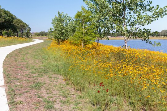 The Clear Lake community in Houston repurposed a golf course into a park and retention ponds to help with flooding and give the people a nice place to walk, ride a bike or watch the different wildlife