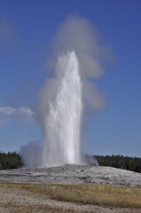 Geyser Yellowstone
