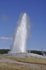 Geyser Yellowstone