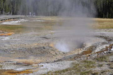 Geyser Yellowstone