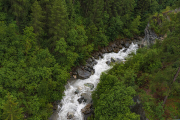 Fototapeta na wymiar Wildbach im grünen Wald