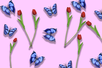 tulipani fiori primavera farfalle