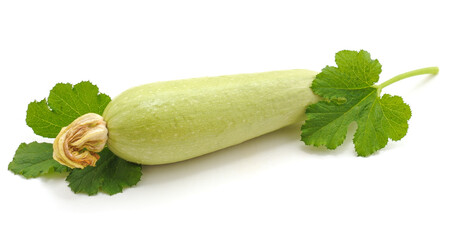 Green zucchini and flower.