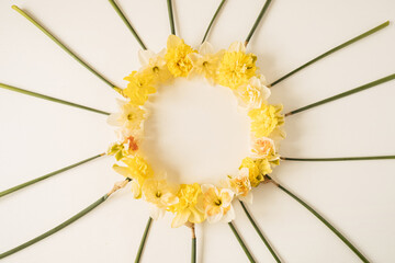 Round frame wreath with blank copy space made of yellow narcissus flowers on white background. Flat lay, top view floral festive holiday concept