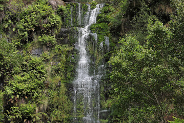 Erskine Falls - Great Otway National Park, Victoria, Australia