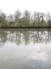 Fototapeta na wymiar reflection of trees in the water in the park Tivoli