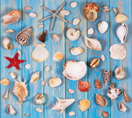 Background of seashells and starfishes. Planning summer holidays, travel and vacation background.