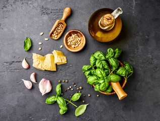 Pesto sauce cooking. Basil leaves, olive oil, garlic, pine nuts and parmesan cheese. Top view on...
