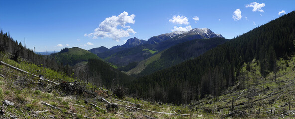 Fototapeta na wymiar Panorama z Kominiarskiej Przełęczy na Giewont i Czerwone Wierchy