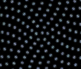 Fototapeta premium Pattern of White Cat Whisker Bloom