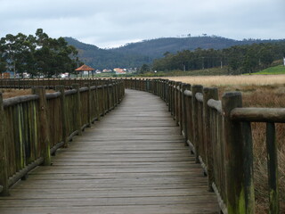 Fototapeta premium OLYMPUS DIGITAL CAMERA