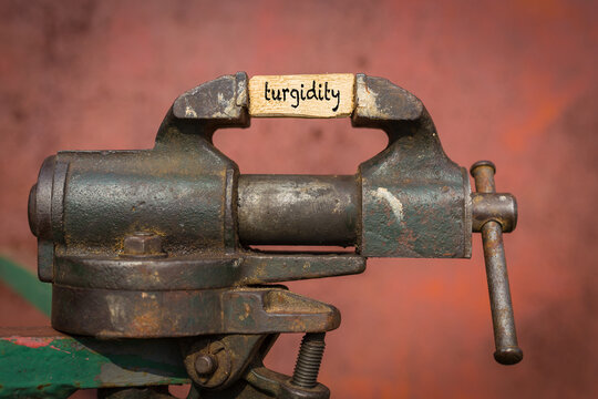 Vice grip tool squeezing a plank with the word turgidity