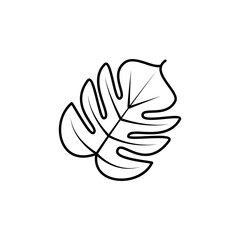 leaf line illustration icon on white background
